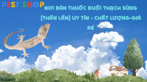 mua thuốc diệt thằn lằn