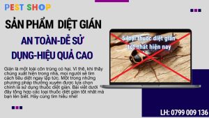 Thuốc diệt gián Đức