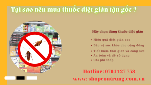 Tại sao nên mua thuốc diệt gián tận gốc