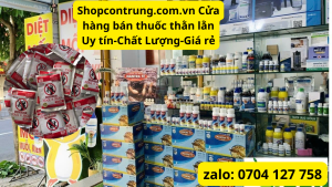 Cửa hàng bán bả diệt thằn lằn, tắc kè Cicak Tokek