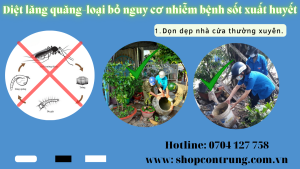Dọn dẹp nhà cửa thường xuyên. Diệt lăng quăng hiệu quả