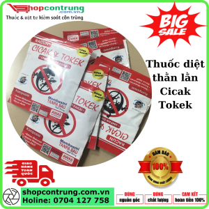 Thuốc diệt thằn lằn Cicak Tokek