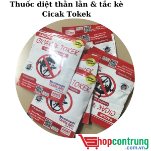 Thuốc diệt thằn lằn & tắc kè Cicak Tokek