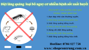 Diệt lăng quăng hiệu quả