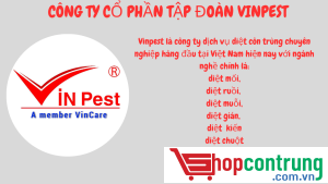 CÔNG TY CỔ PHẦN TẬP ĐOÀN VINPEST