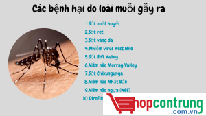 Các bệnh hại do loài muỗi gẫy ra