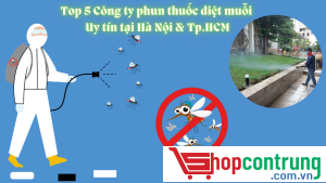 Công ty phun thuốc diệt muỗi