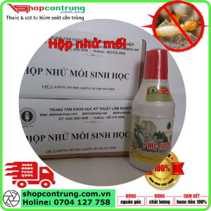 Hộp nhử mối