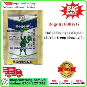 Regent 800WG