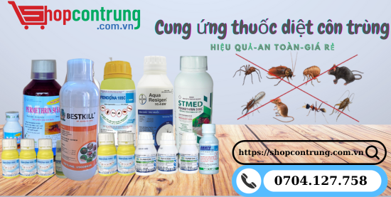 Mua thuốc diệt trùng Bestkill