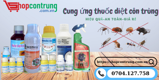 Nơi bán dầu diệt mối và côn trùng BIO