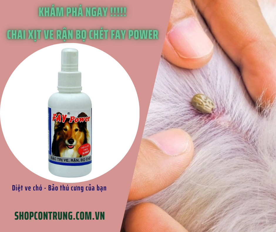 Chai xịt ve rận bọ chét Fay Power
