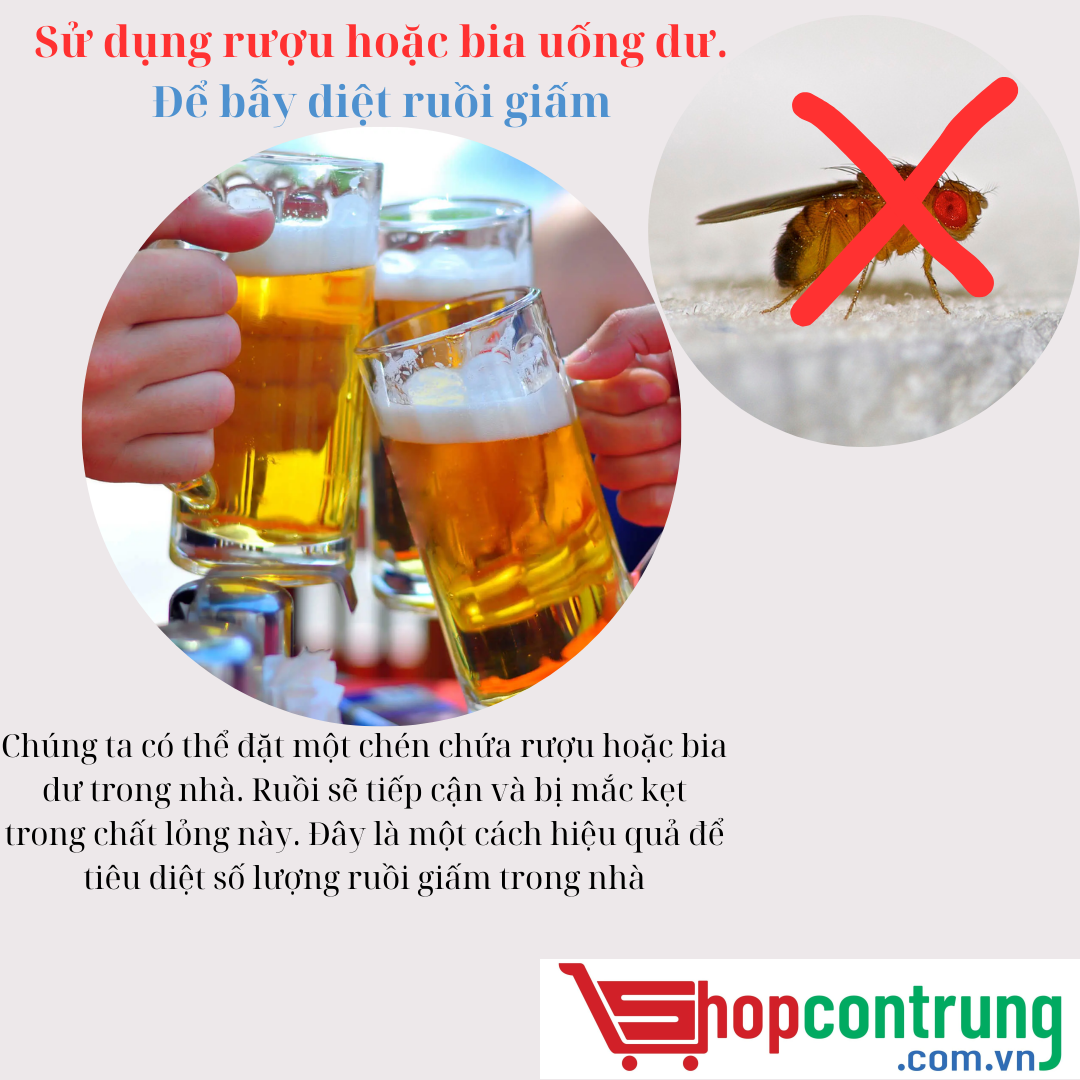 Sử dụng rượu hoặc bia uống dư. Để bẫy diệt ruồi giấm