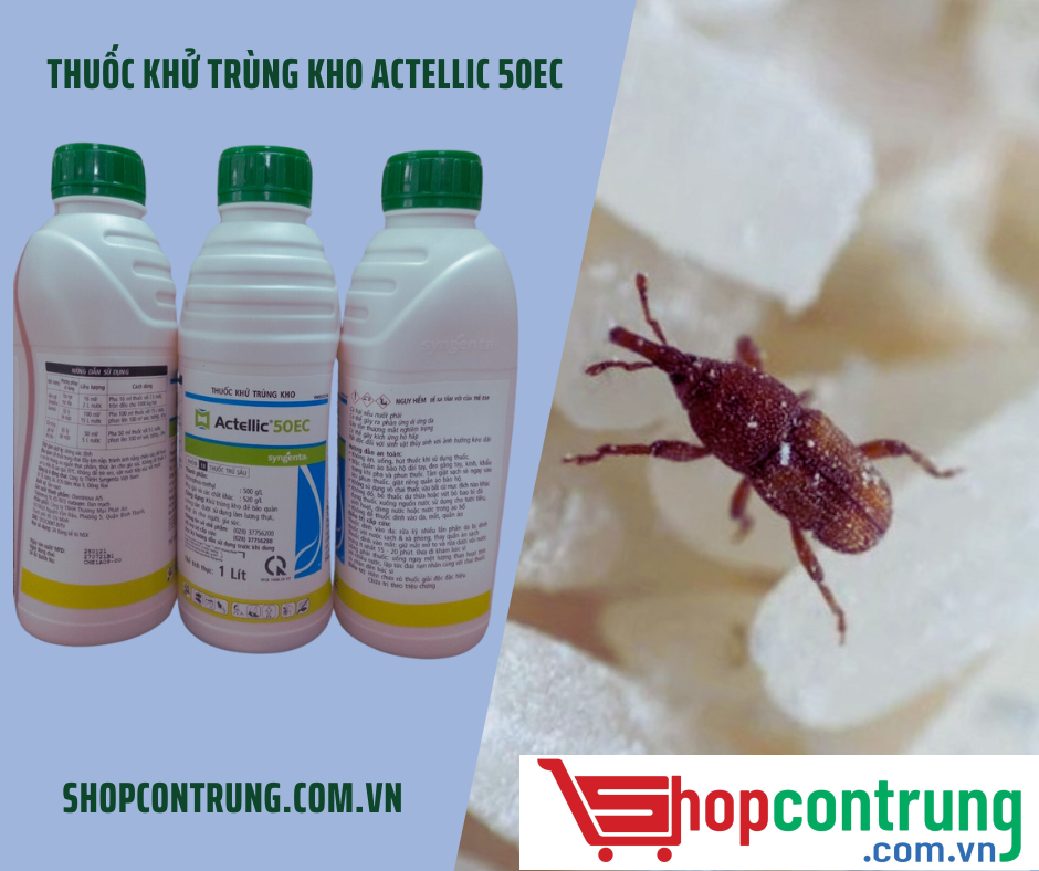 Thuốc khử trùng kho ACTELLIC 50EC