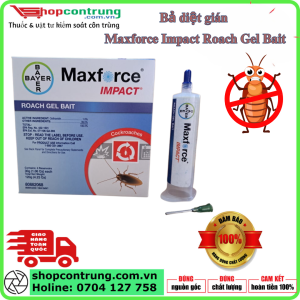 Gel diệt gián Maxforce Impact Roach Gel Bait