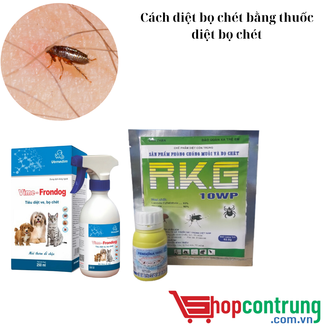 Cách diệt bọ chét bằng thuốc diệt bọ chét