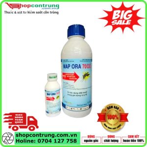 MAP ORA 70OD thuốc muỗi y tế