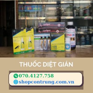 Thuốc diệt gián