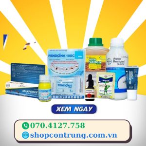 Thuốc diệt kiến