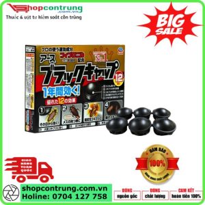 Thuốc Diệt Gián Nhật Bản