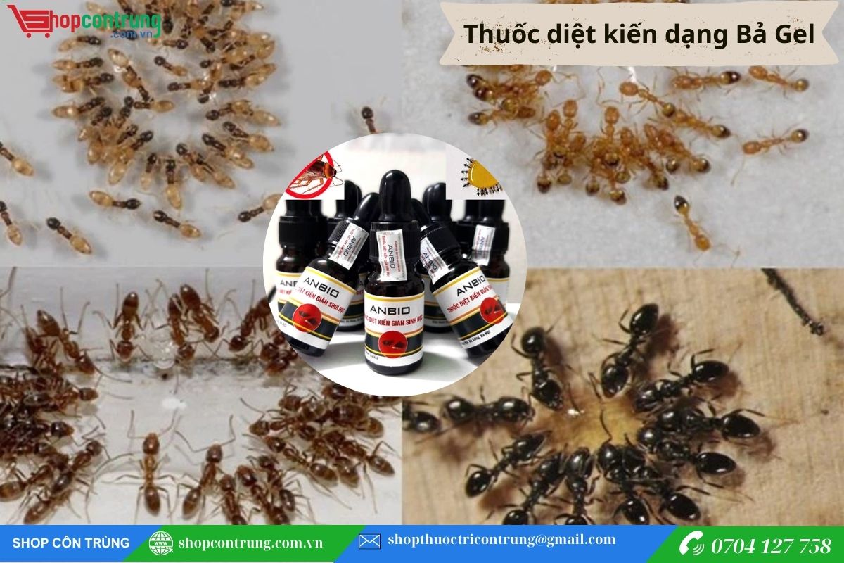 Thuốc diệt kiến dạng Bả Gel