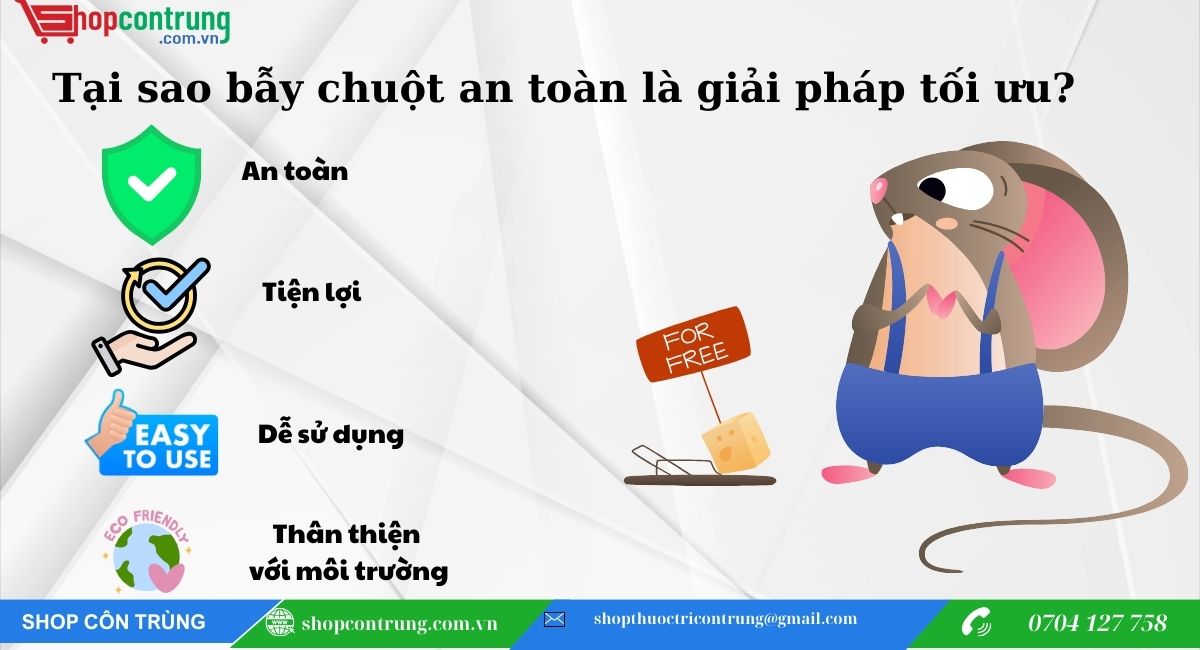 Tại sao bẫy chuột an toàn là giải pháp tối ưu?