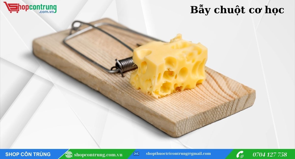 Bẫy bắt chuột cơ học