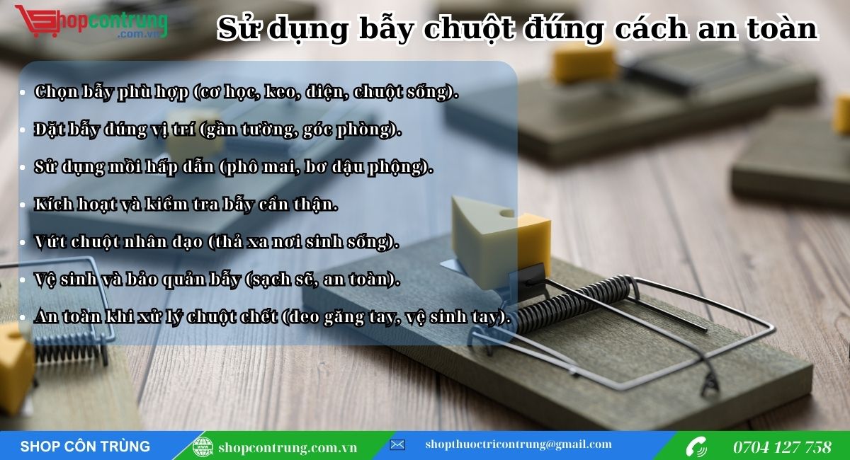 Hướng dẫn sử dụng bẫy chuột an toàn