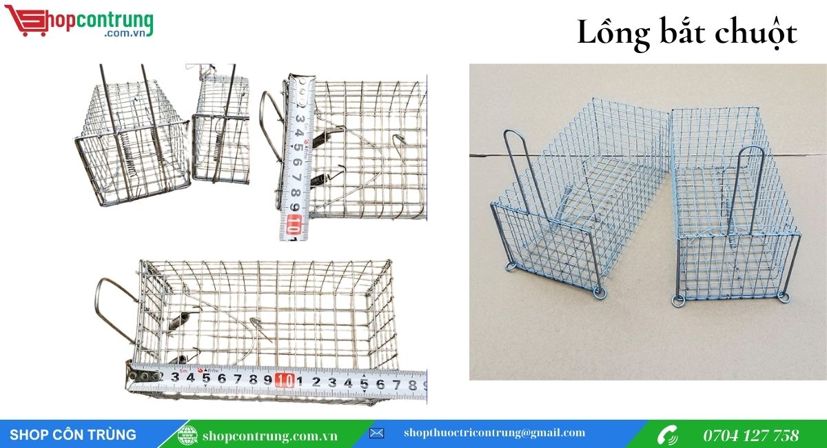 Cách sử dụng lồng bắt chuột hiệu quả