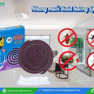 Nhang diệt muỗi Raid hương lavender