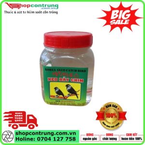 Keo Dính Chim, Keo Bẫy Chim – Chất Lượng Hàn Quốc