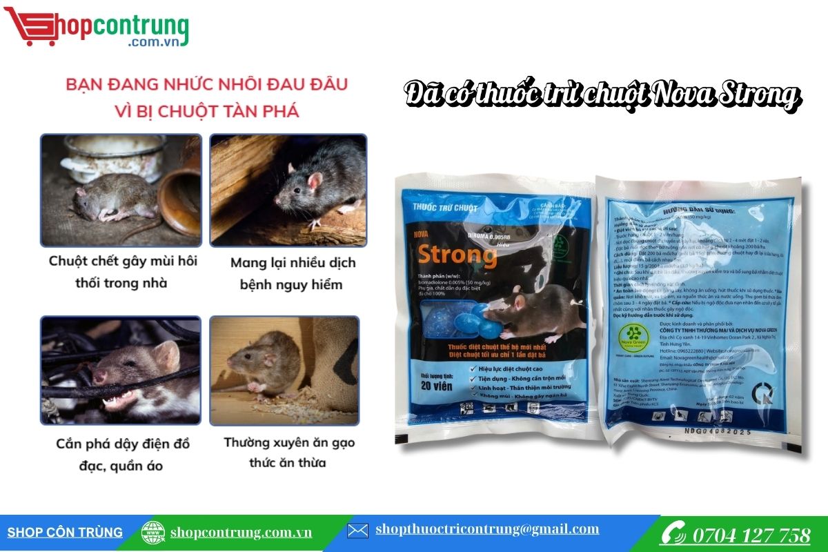 thuốc trừ chuột Nova Strong