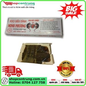 Keo dính chuột Minh Phương hàng chính hãng