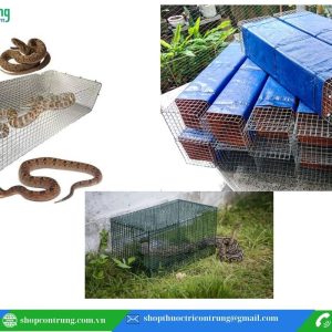 bẫy rắn “bách phát bách trúng”