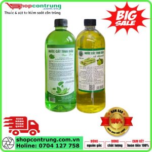 Tinh Dầu Sả Chanh và Bạc Hà
