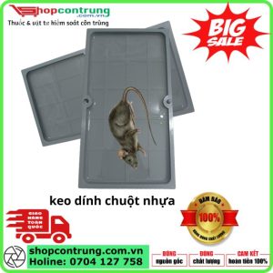 Miếng Keo bẫy Chuột Nhựa Siêu Dính: Giải Pháp Diệt Chuột & Côn Trùng Bò