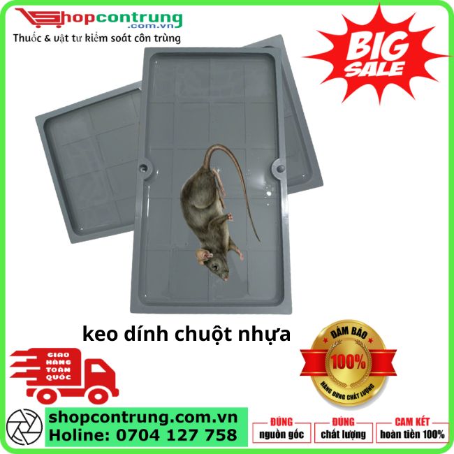 Miếng Keo bẫy Chuột Nhựa Siêu Dính: Giải Pháp Diệt Chuột & Côn Trùng Bò
