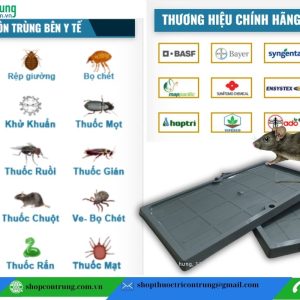 Mua keo dính chuột nhựa hãng ở đâu?