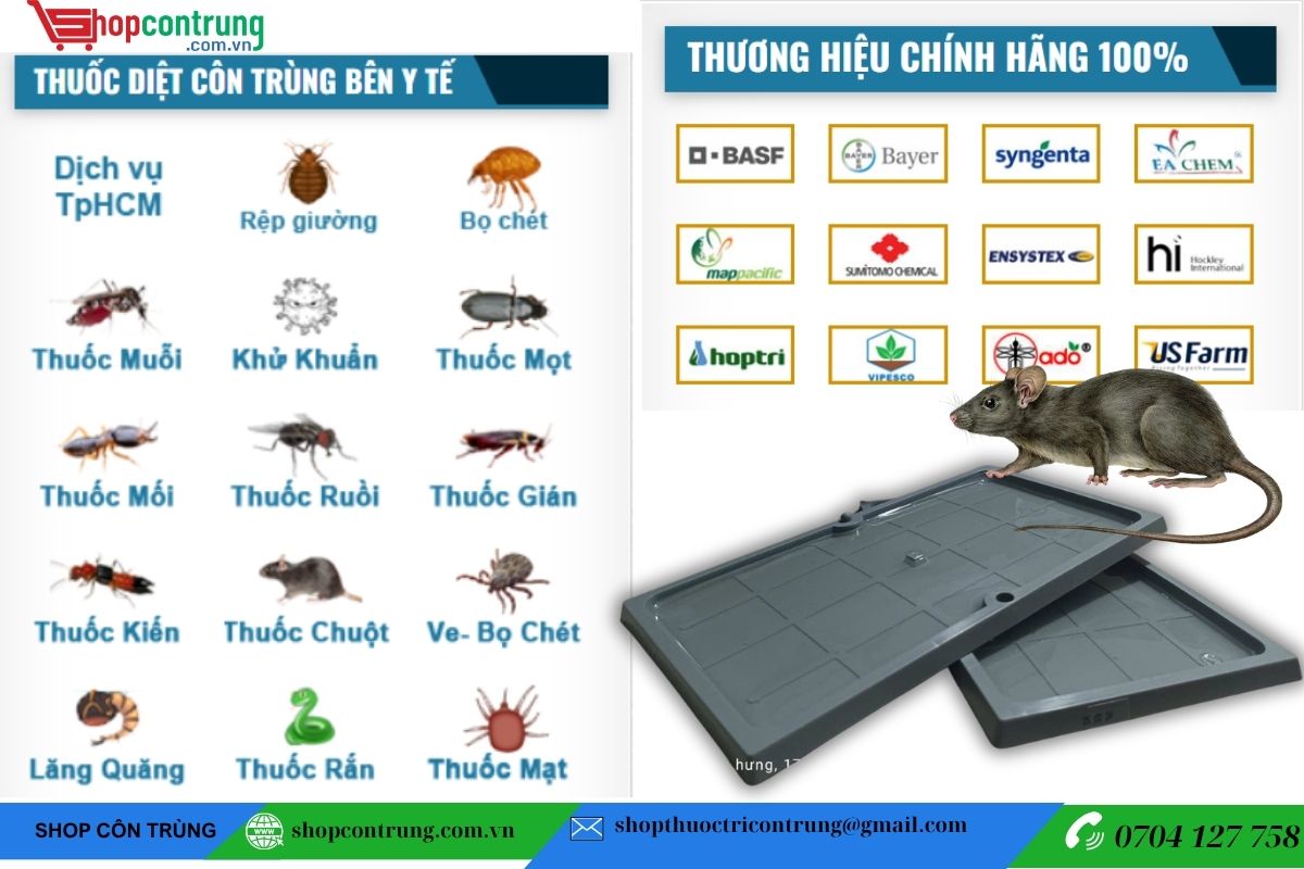 Mua keo dính chuột nhựa hãng ở đâu?